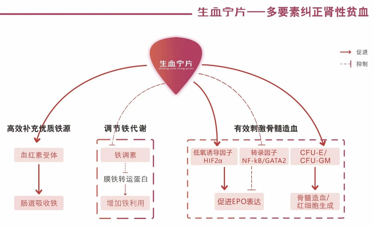 中国·亚星游戏(集团)有限公司-官方网站